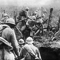 Prawda o stratach koni w bitwie pod Verdun - poznaj zatrważające liczby